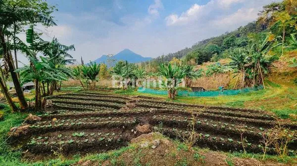 JUAL TANAH CLAKET PACET 4201 M2