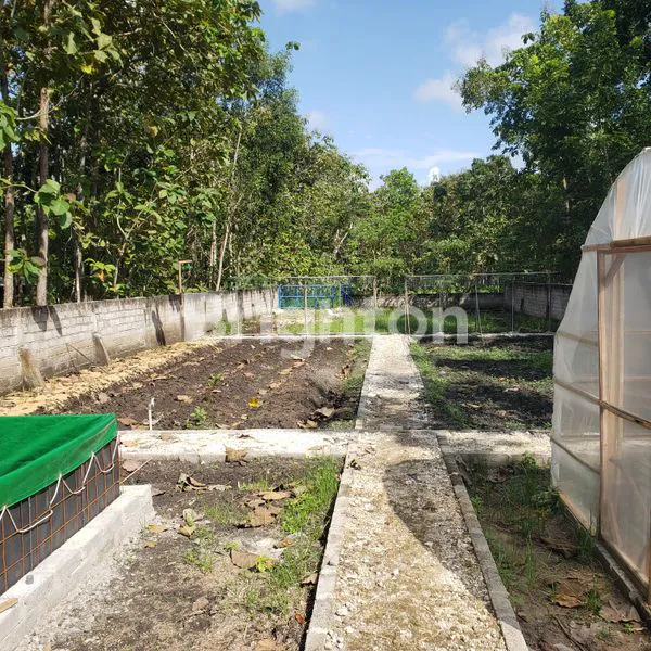 image TANAH LUAS 969M² DI WONOSARI, COCOK UNTUK INVESTASI DAN USAHA (3)