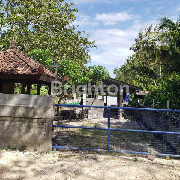 image TANAH LUAS 969M² DI WONOSARI, COCOK UNTUK INVESTASI DAN USAHA (1)