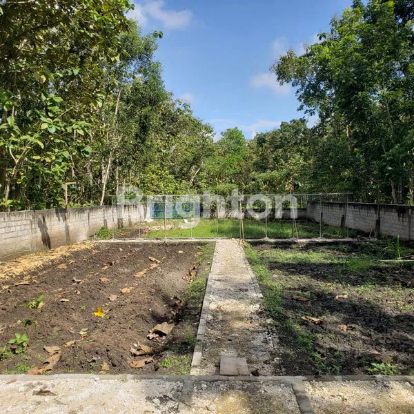 image TANAH LUAS 969M² DI WONOSARI, COCOK UNTUK INVESTASI DAN USAHA (8)