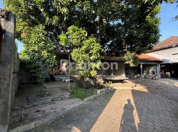 image RUMAH LUAS COCOK UNTUK RUMAH TINGGAL ATAUPUN UNTUK USAHA (1)
