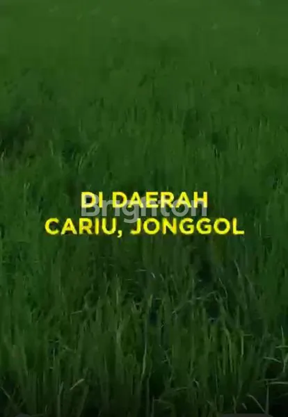 image TANAH LUAS & STRATEGIS – INVESTASI, USAHA & PARIWISATA ,JUAL NEGO. CARIU – JONGGOL, BOGOR (1)