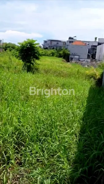 image DISEWAKAN TANAH 5 ARE - CANGGU (1)