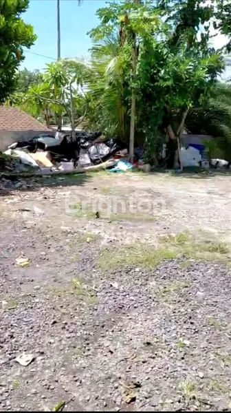 image DISEWA TANAH 6 ARE - CANGGU (1)