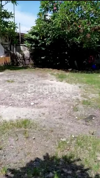 image DISEWA TANAH 6 ARE - CANGGU (3)