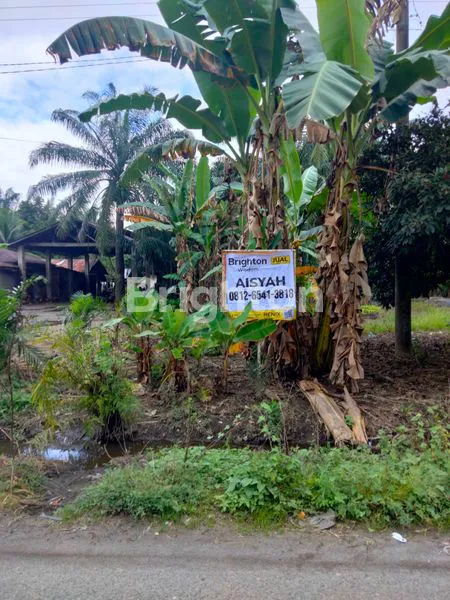 image TANAH STRATEGIS 9.628M² DI BINJAI, COCOK UNTUK BISNIS (3)