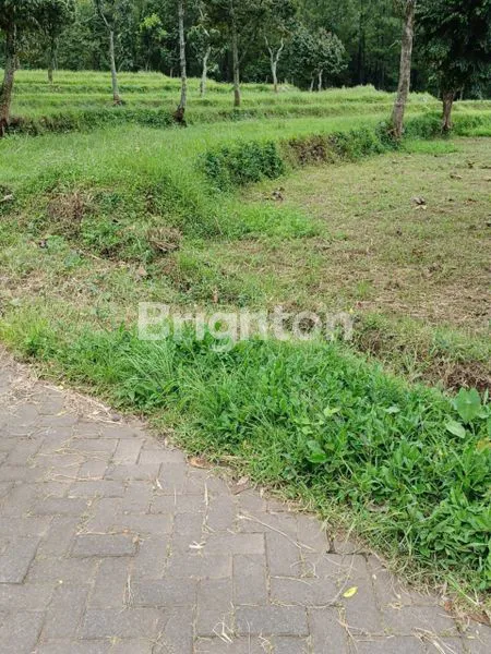 image TANAH LUAS 2.520M² DI PACET, DEKAT WISATA & SEKOLAH UNGGULAN (3)