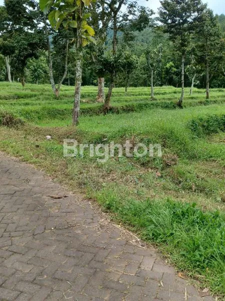 image TANAH LUAS 2.520M² DI PACET, DEKAT WISATA & SEKOLAH UNGGULAN (1)