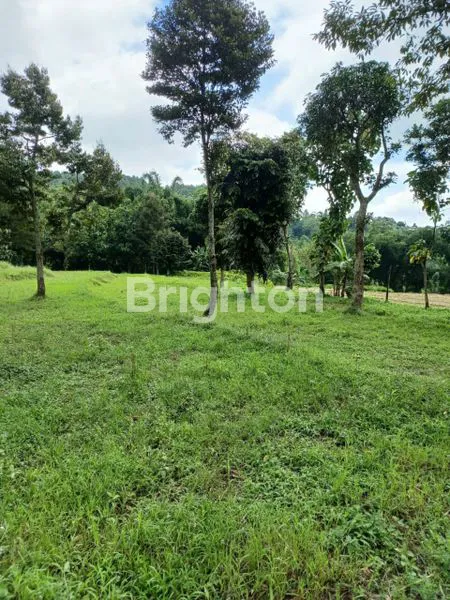 image TANAH LUAS 2.520M² DI PACET, DEKAT WISATA & SEKOLAH UNGGULAN (4)