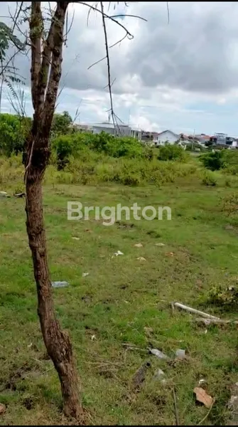 image DISEWA TANAH 55 ARE - CANGGU (1)