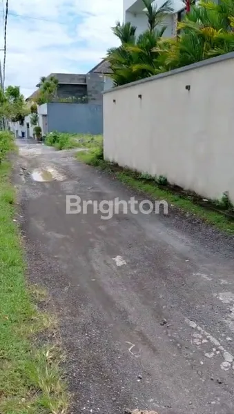 image DISEWA TANAH 55 ARE - CANGGU (4)