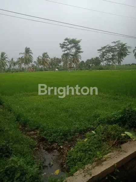 image LAHAN LUAS 9.290M² DI BONDOWOSO, LOKASI STRATEGIS (3)