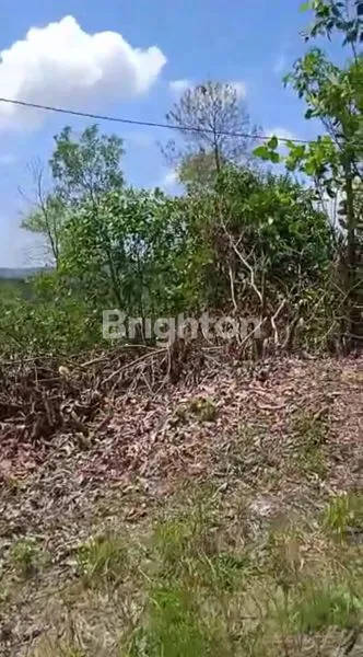 image TANAH DIJUAL (4)