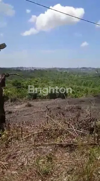 image TANAH DIJUAL (5)