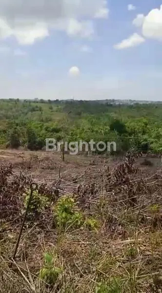 image TANAH DIJUAL (6)