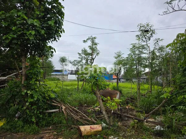 image TANAH LOKASI STRATEGIS DI DEKAT TAMAN JIMBARAN (6)