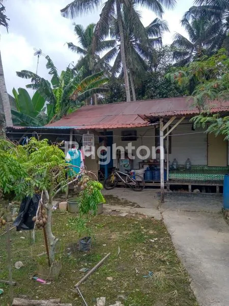 image TANAH BATAKAN (1)