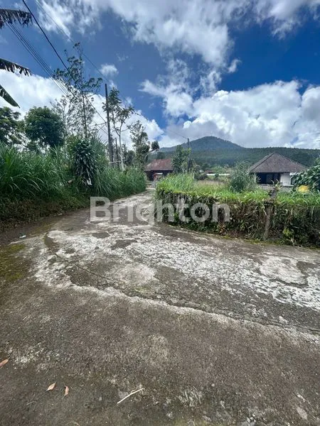 image TANAH 27,40 M2 DI PUNCAK VIEW GUNUNG LAHAN DATAR DI KAWASAN CANDI KUNING BEDUGUL TABANAN BALI (3)