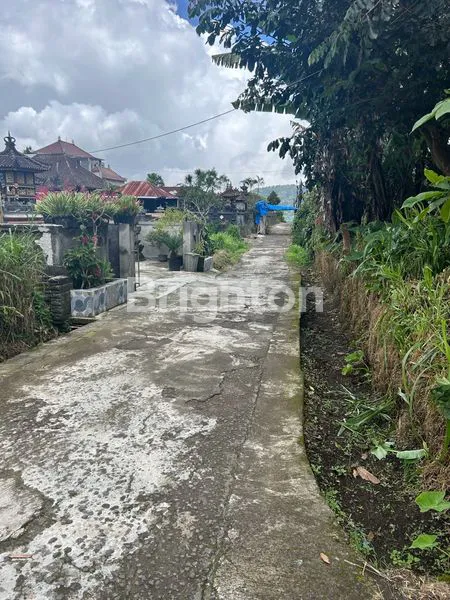 image TANAH 27,40 M2 DI PUNCAK VIEW GUNUNG LAHAN DATAR DI KAWASAN CANDI KUNING BEDUGUL TABANAN BALI (4)
