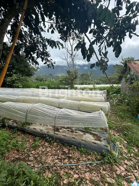 image TANAH 27,40 M2 DI PUNCAK VIEW GUNUNG LAHAN DATAR DI KAWASAN CANDI KUNING BEDUGUL TABANAN BALI (5)