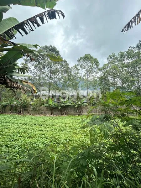 image TANAH 27,40 M2 DI PUNCAK VIEW GUNUNG LAHAN DATAR DI KAWASAN CANDI KUNING BEDUGUL TABANAN BALI (6)