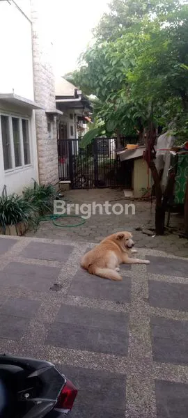 image RUMAH MEWAH 7 KT DI RUNGKUT ASRI TIMUR, LT 716M² (8)