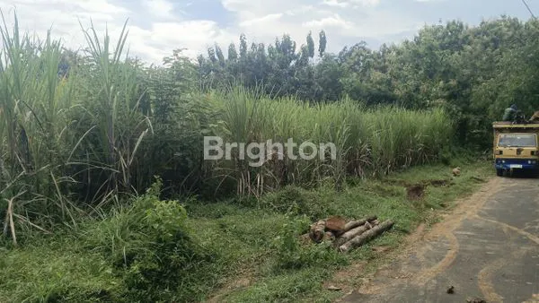 image TANAH 6320 M2 SHM DI POLOKARTO AKSES TRUK (1)