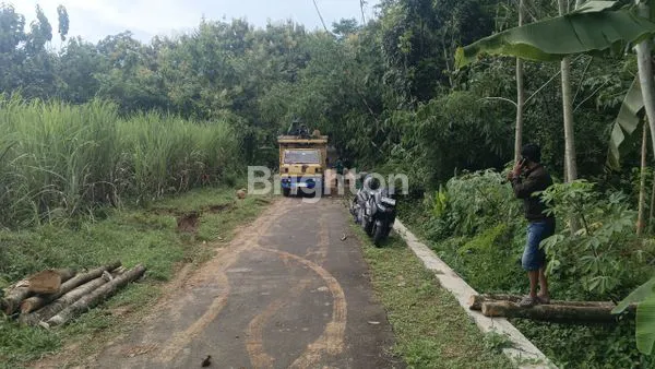 image TANAH 6320 M2 SHM DI POLOKARTO AKSES TRUK (3)