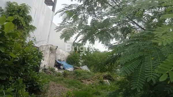 image TANAH KAVLING LOKASI PREMIUM PINGGIR JALAN UTAMA BYPASS NGURAH RAI SANUR (3)