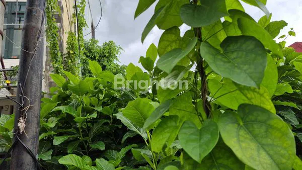 image TANAH KAVLING LOKASI PREMIUM PINGGIR JALAN UTAMA BYPASS NGURAH RAI SANUR (4)