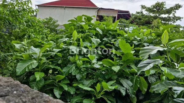 image TANAH KAVLING LOKASI PREMIUM PINGGIR JALAN UTAMA BYPASS NGURAH RAI SANUR (5)