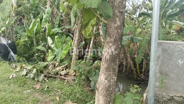 image TANAH 5335 M2 DI POLOKARTO DEKAT SOLO BARU (4)