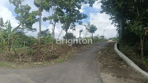 image TANAH HOOK 2 MUKA 4286 M2 DI MOJOREJO SUKOHARJO (2)