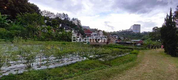 image TANAH 8000M² DI BANDUNG, POTENSI WISATA & KULINER (3)