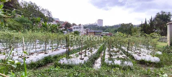 image TANAH 8000M² DI BANDUNG, POTENSI WISATA & KULINER (2)