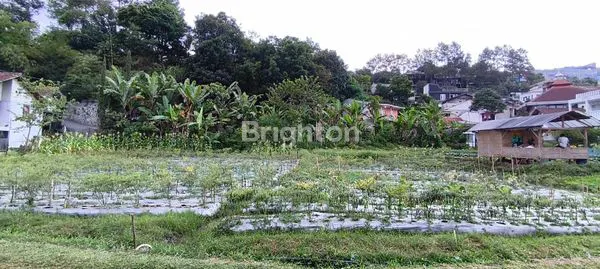 image TANAH 8000M² DI BANDUNG, POTENSI WISATA & KULINER (4)