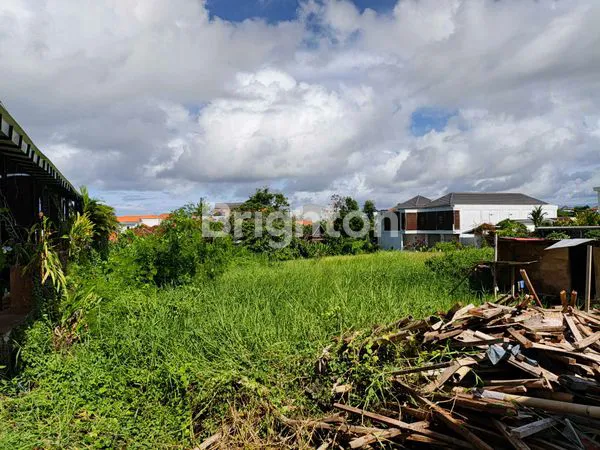 image TANAH SEWA SELUAS 439,47M² DI CANGGU (1)