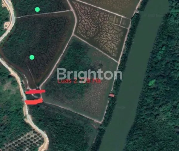 image TANAH SEPAKU PENAJAM  (1)