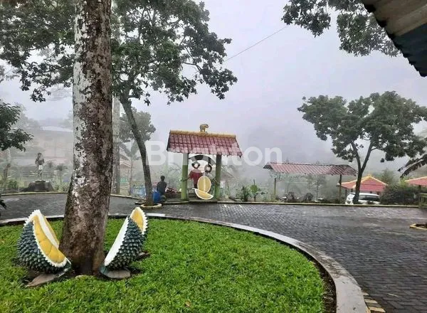 image TEMPAT WISATA KELUARGA PARKIRAN LUAS DAERAH TRAWAS MOJOKERTO (7)