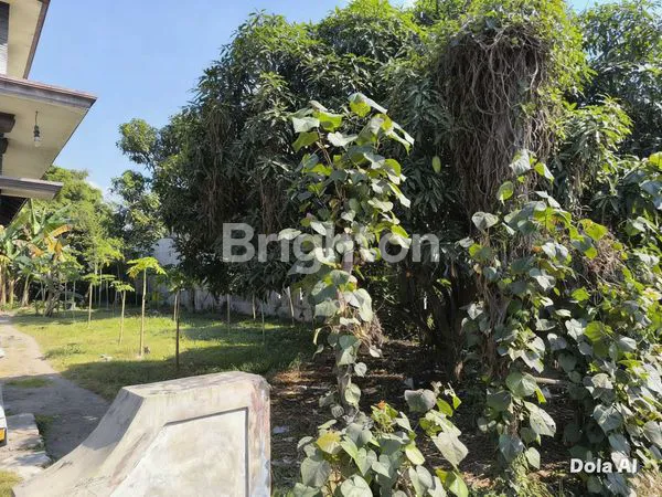 image KESEMPATAN LANGKA! TANAH LUAS 430 M² DI TEPI JALAN SEMANDING PONGGOK (1)