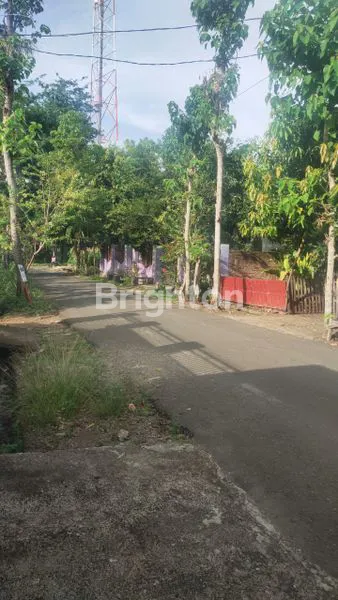 image LAHAN KOSONG DI BANTAENG (1)