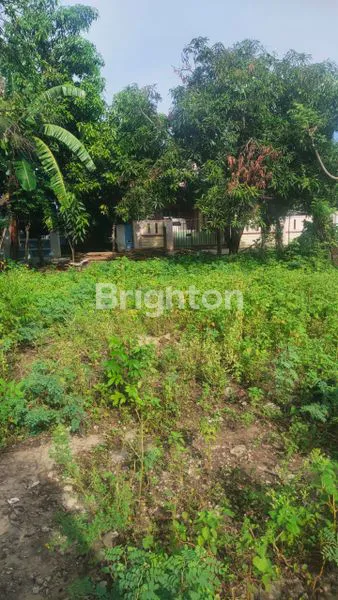 image LAHAN KOSONG DI BANTAENG (4)