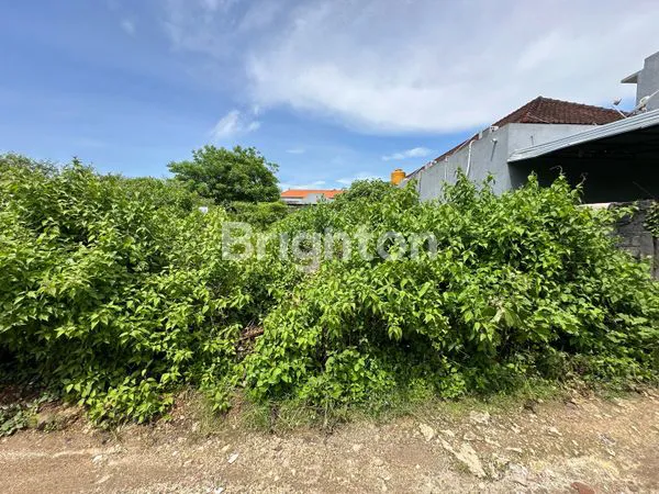 image INVESTASI TANAH JIMBARAN, LINGKUNGAN TENANG & BERKEMBANG (1)
