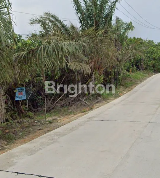 image TANAH STRATEGIS DI KARIANGAU BALIKPAPAN (3)