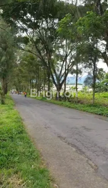 image TANAH STRATEGIS 7.590 M² DI JALAN WONOREJO, PONCOKUSUMO – COCOK UNTUK VILLA, AGRO WISATA & INVESTASI (2)