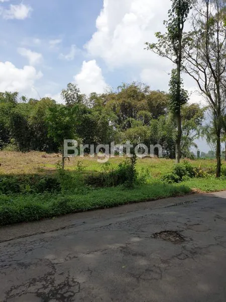 image TANAH STRATEGIS 7.590 M² DI JALAN WONOREJO, PONCOKUSUMO – COCOK UNTUK VILLA, AGRO WISATA & INVESTASI (1)