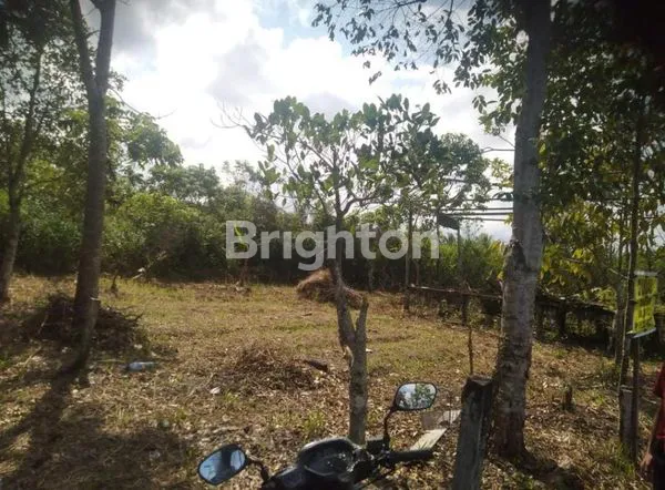 image TANAH PENAJAM PASER UTARA (1)