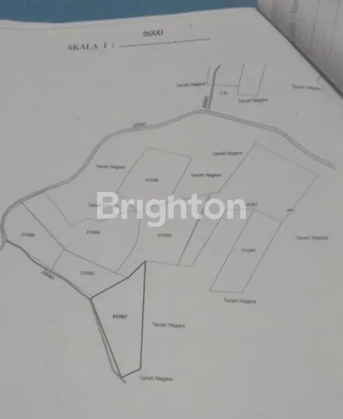 image TANAH KEBUN TERITIP (1)