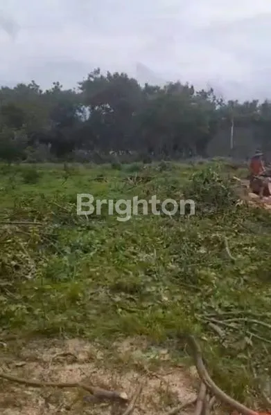 image DIJUAL TANAH SELUAS 1,9 HA DIKAWASAN TANGGERANG, LETAKNYA STRATEGIS. COCOK UNTUK PERUMAHAN CLUSTER, PUSAT PERBELANJAAN ATAUPUN INDUTRI (2)