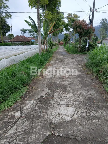 image DIJUAL: LAHAN EKSKLUSIF VIEW DANAU BERATAN – CANDIKUNING, TABANAN (2)